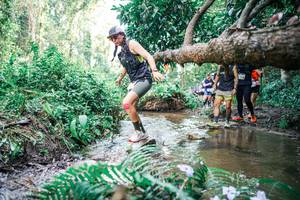 BIB: 
                            <button type="button" onclick="openModal(25478032)" class="btn btn-primary btn-sm float-right btn-popup" data-toggle="modal" data-target=".modal-high-quality">
                        <i class="fas fa-shopping-cart"></i> Add to Cart
                    </button>
                                            <button type="button" onclick="isThisMe(25478032, true)" class="btn btn-success btn-sm float-right btn-popup btn-isme hidden" data-toggle="tooltip" data-placement="bottom" title="นี่คือรูปของคุณใช่ไหม คลิกที่นี่เพื่อเอาเข้าอัลบั้ม">
                        <i class="fas fa-plus"></i> Add to album
                    </button>
                    <button type="button" onclick="isThisMe(25478032, false)" class="btn btn-warning btn-sm float-right btn-popup btn-isnotme hidden">
                        <i class="fas fa-ban"></i> Remove from album
                    </button>